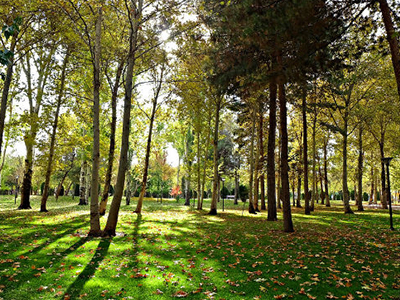 park